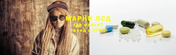 ГАЛЛЮЦИНОГЕННЫЕ ГРИБЫ Гусиноозёрск