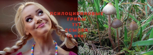 гидропоника Навашино