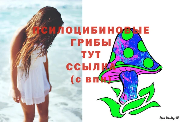 mix Гусь-Хрустальный
